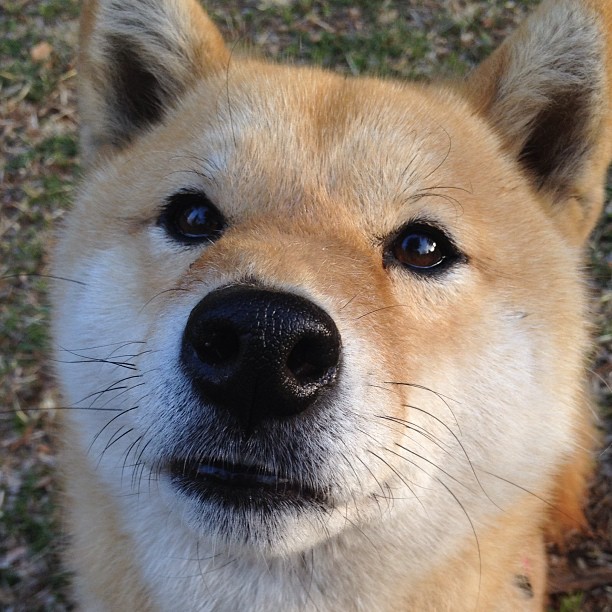 “史上最帅!明星球员最迷人瞬间”,球星最帅的10张图片