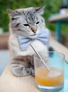 开云体育APP下载-“未来新星：年度潜力排名榜单”，未来潜力新品