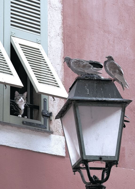 《美联社》：巴西女足在奥运会小组赛中与日本队激战，巴西女足奥运会阵容