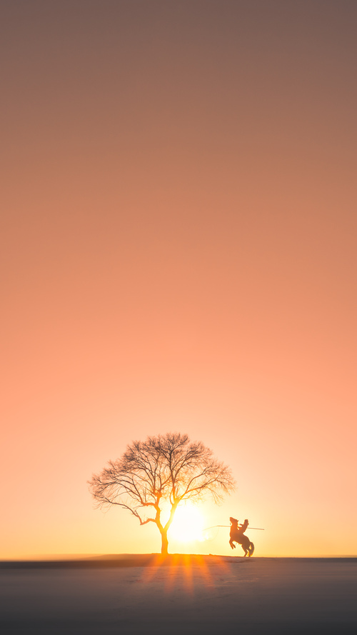 广场舞视频教学平台兴起，广场舞起步动作示范