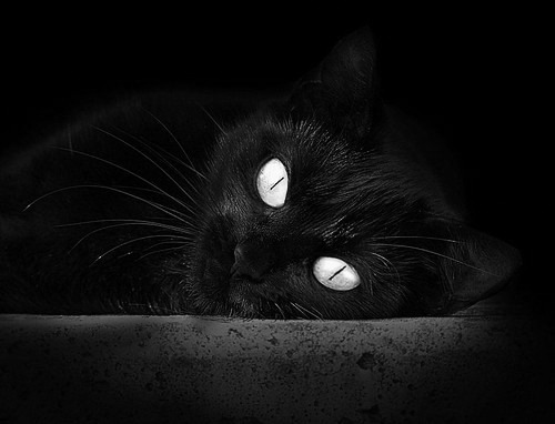 特色篮球文化在中小学校普及率不断提升，青少年受益匪浅，全国校园篮球特色学校好处