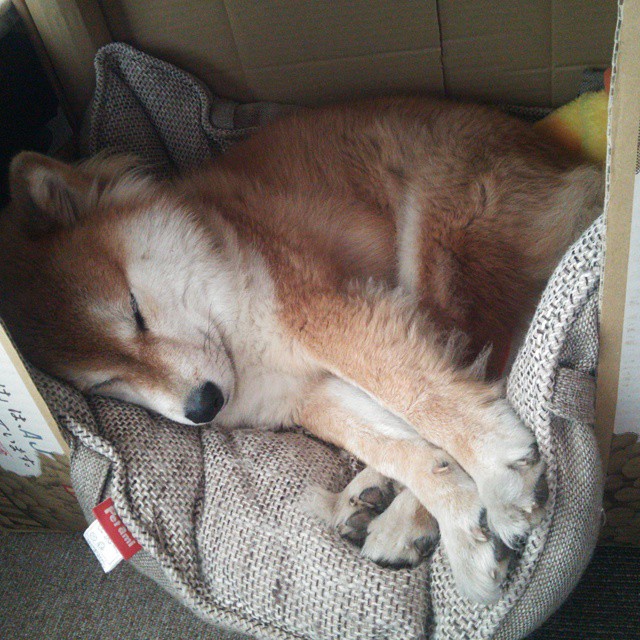 皇马快反反击如虎添翼,连续10场获得佳绩,皇马打法