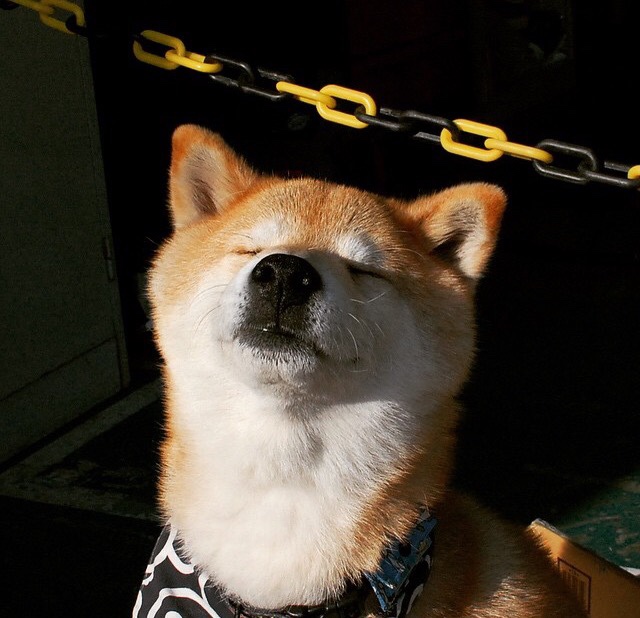 英超：利物浦2-2战平阿斯顿维拉，萨拉赫和奥巴梅杨各进一球，利物浦官方宣布与萨拉赫续约