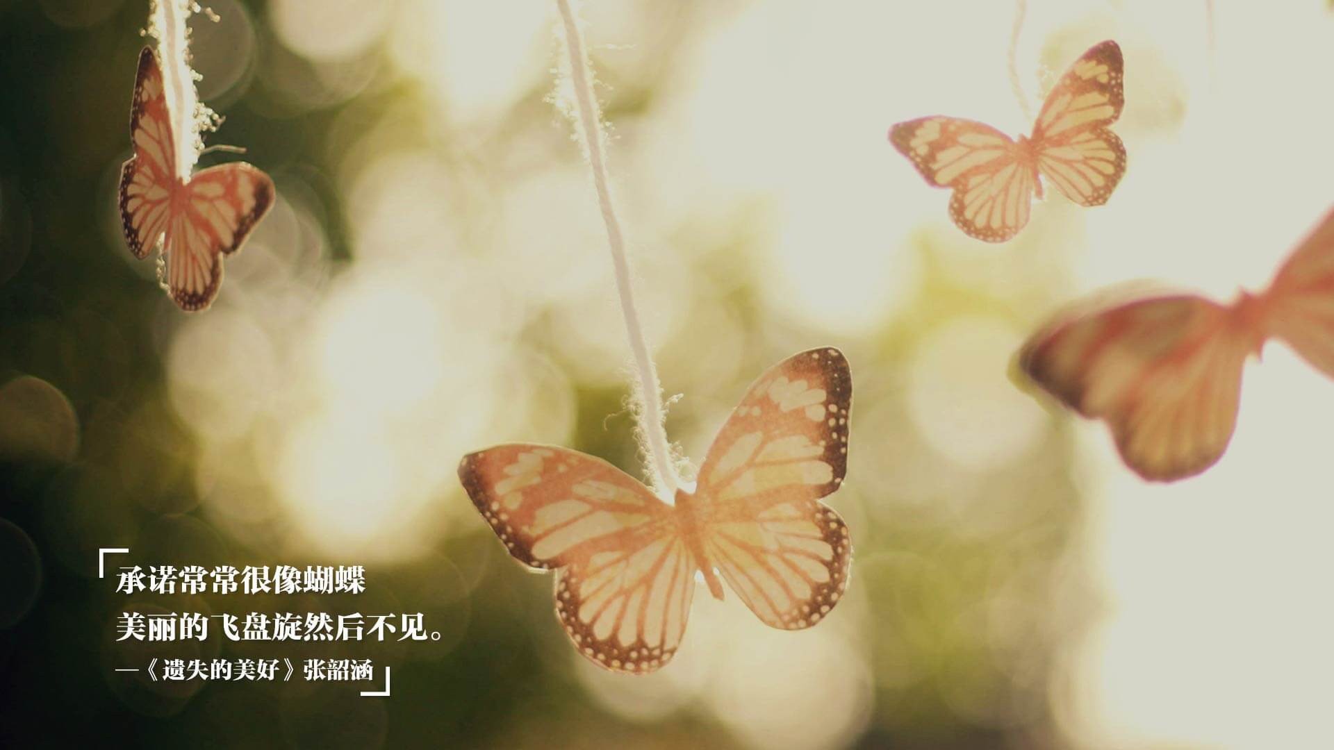 多特蒙德新援表现出色，已成球队核心力量，多特蒙德 球队