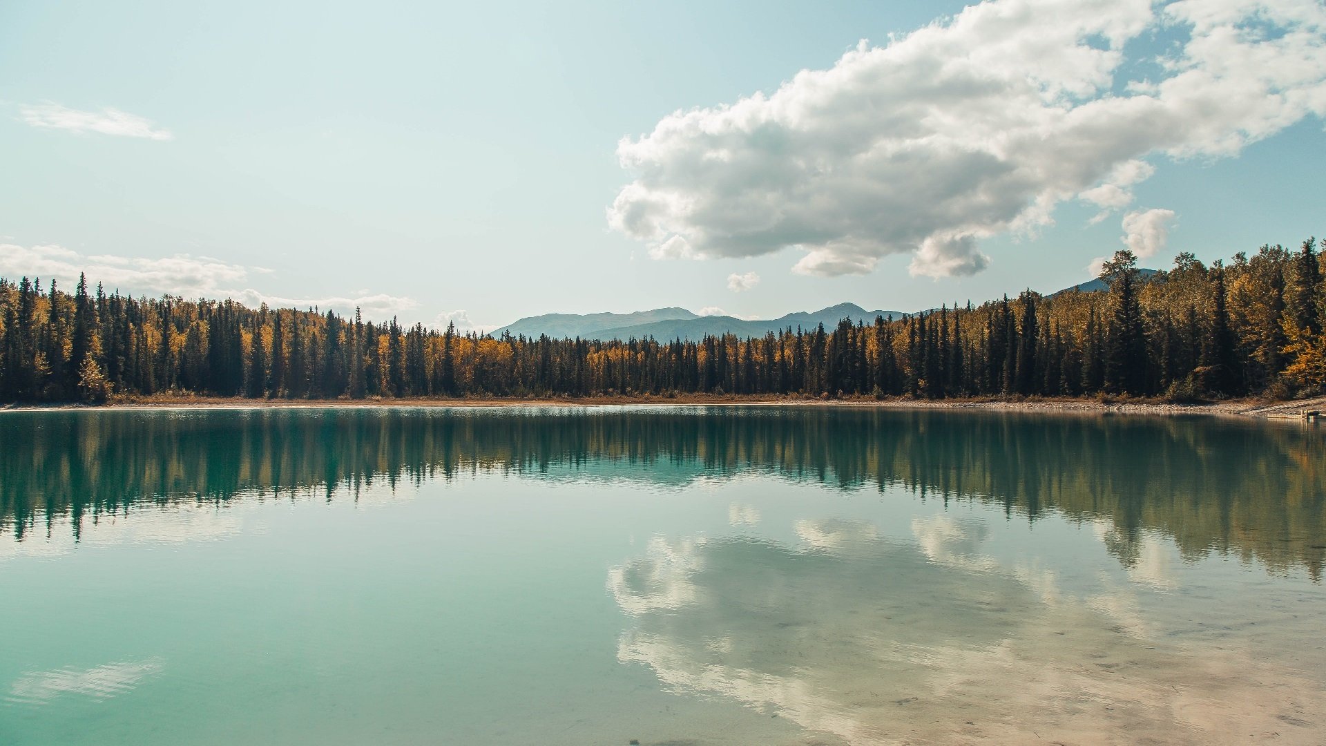 开云体育博彩-布鲁诺·卡博克洛成为NBA球迷关注焦点，布鲁诺-卡波科洛