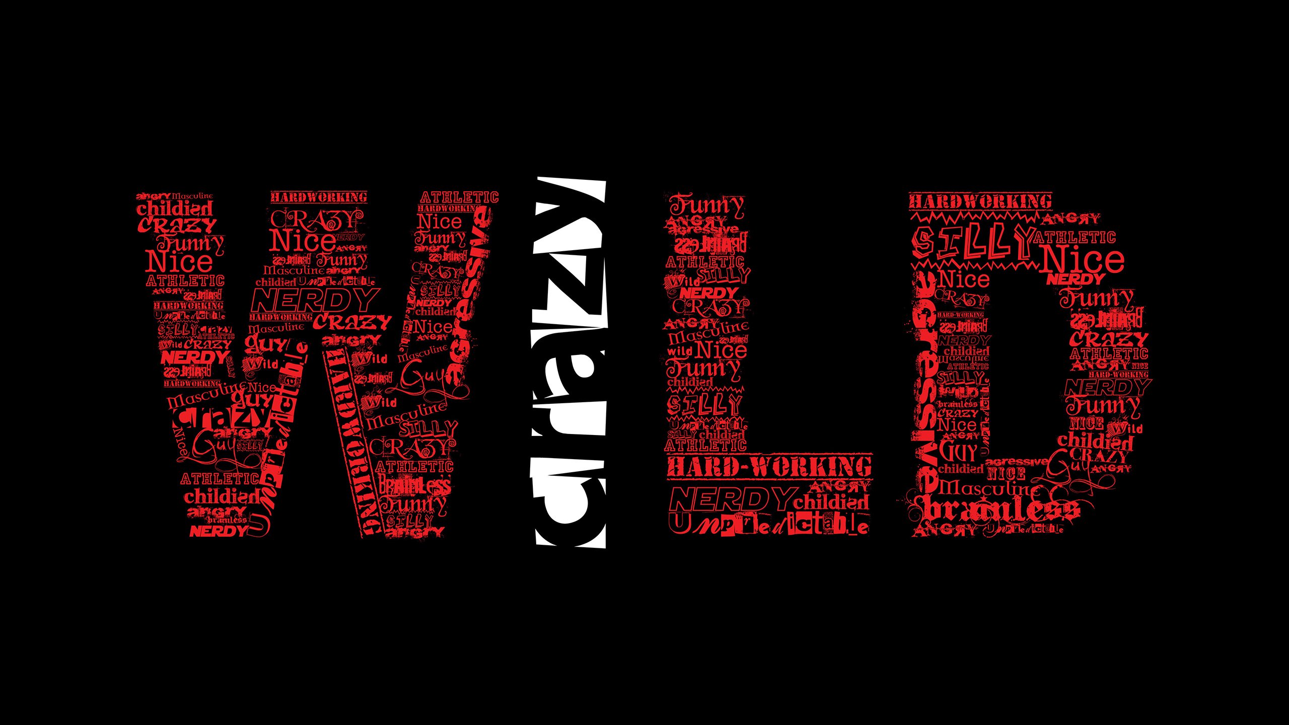 莱比锡主场逆转不来梅,维尔纳建功,莱比锡 中卫