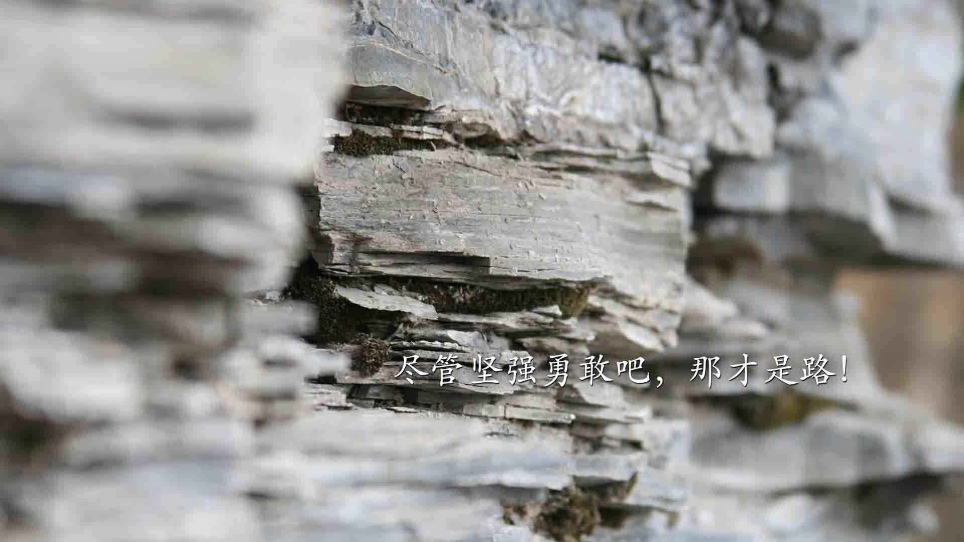 世界田径大赛百米决赛精彩纷呈,世界田径比赛100米