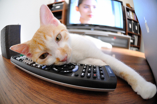 全国青少年沙滩排球锦标赛在海南热力开赛，青春燃烧海边，全国沙滩排球比赛