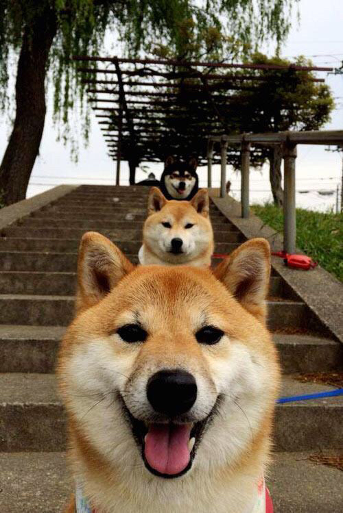 高校体育场馆运营效率提升策略，高校体育场馆如何运营和管理