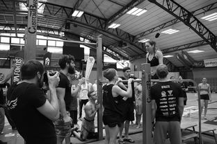 开云APP-“2025世界游泳锦标赛：水上芭蕾精彩纷呈，艺术之美与竞技并行”