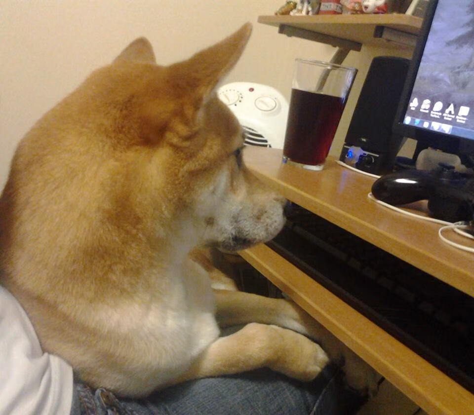 CBA赛季关注度持续提升引发热议，cba本赛季球员数据