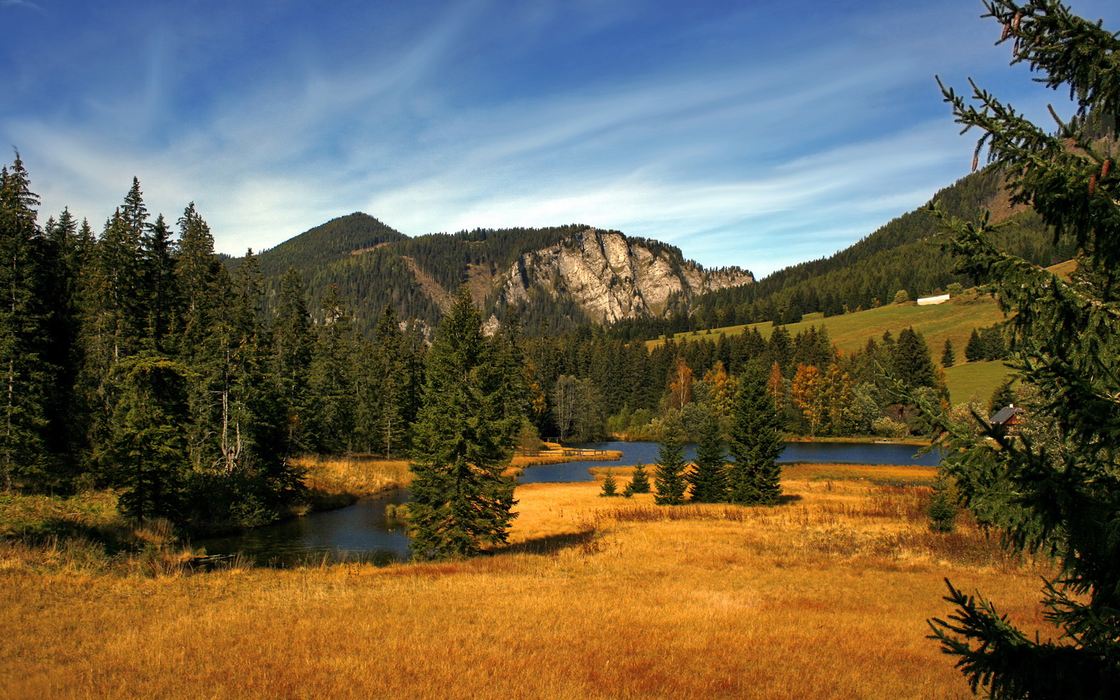 体育新闻中心启动体育数字版权技术研发专项,体育 数字化