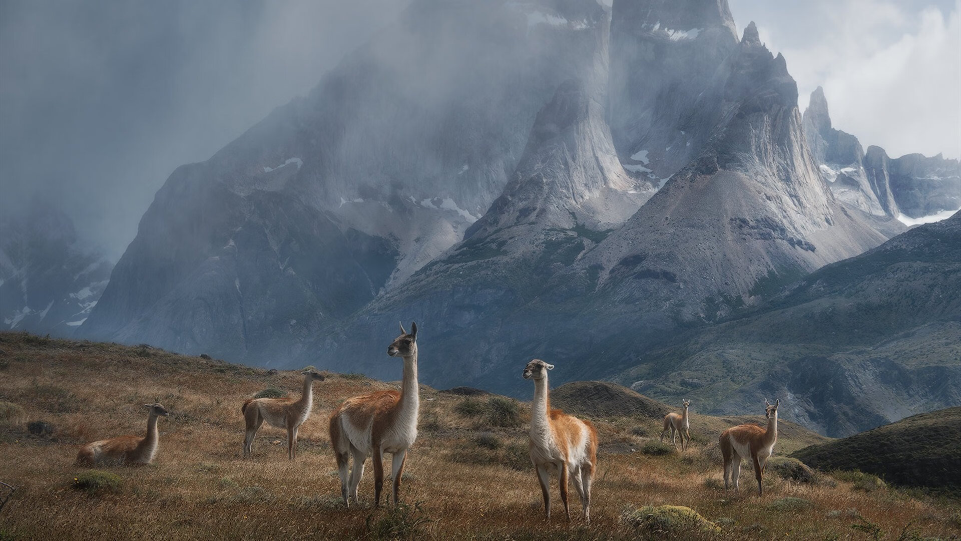 加拿大队赛制分析:赛制如何帮助提升球队的稳定性与执行力,加拿大赛程500